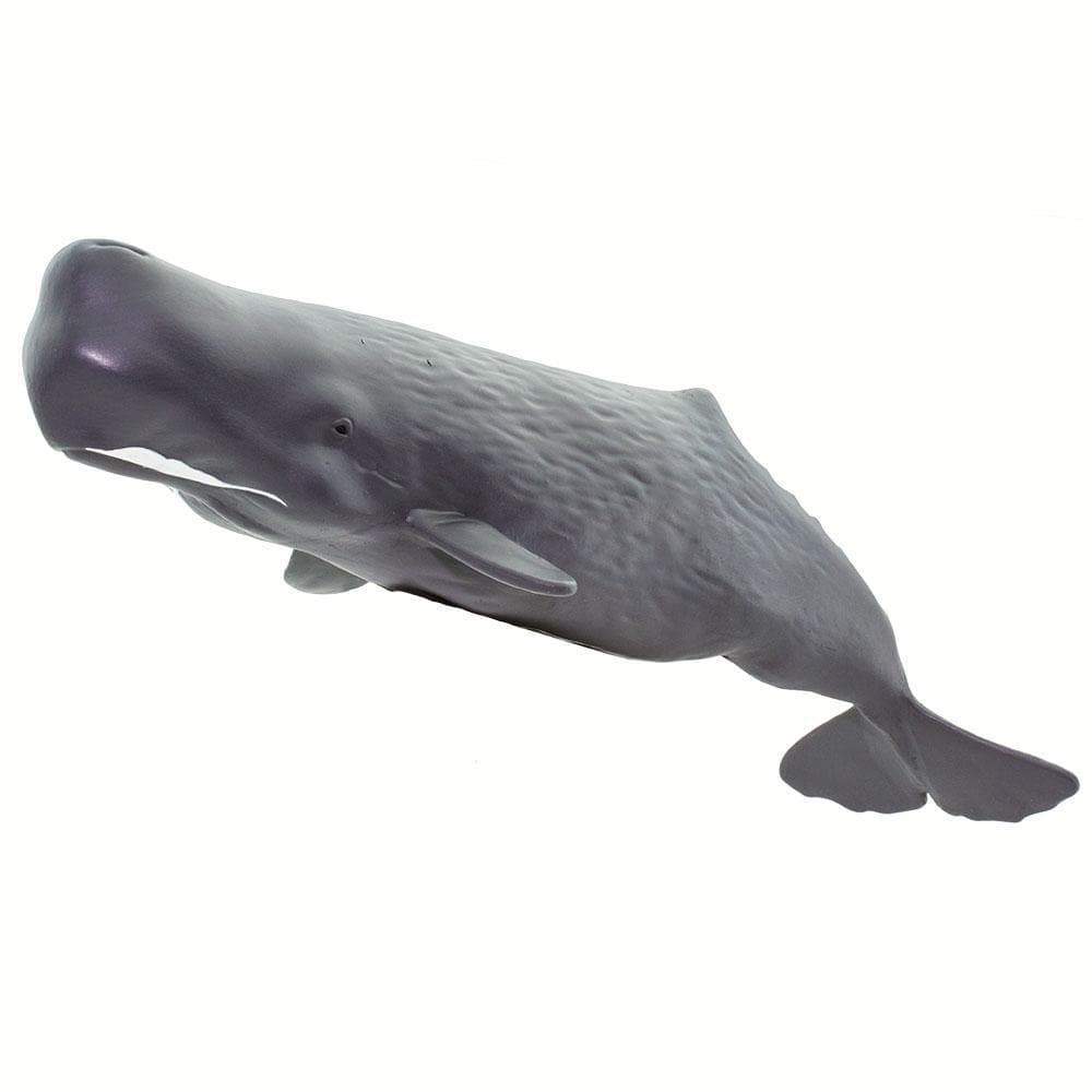 Sperm Whale Toy - Sea Life Toys by Safari Ltd.