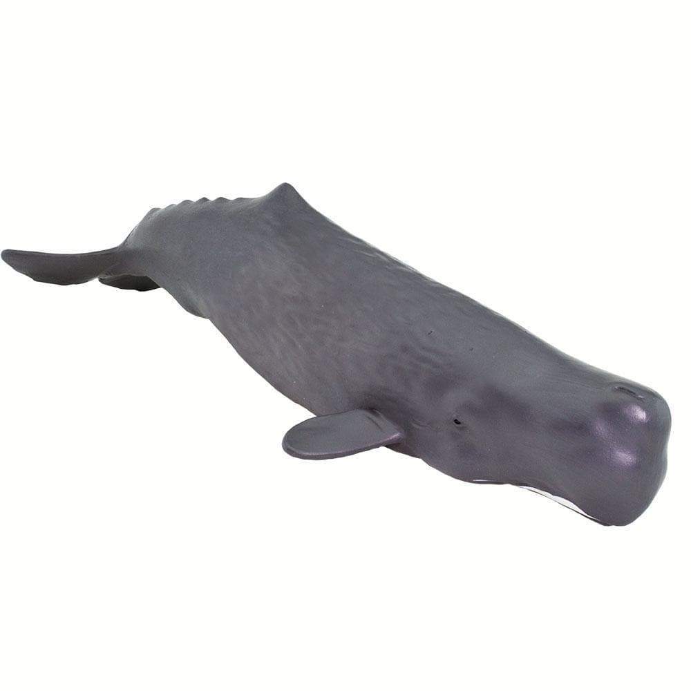 Big whale, buy sperm whale, cuddly toy