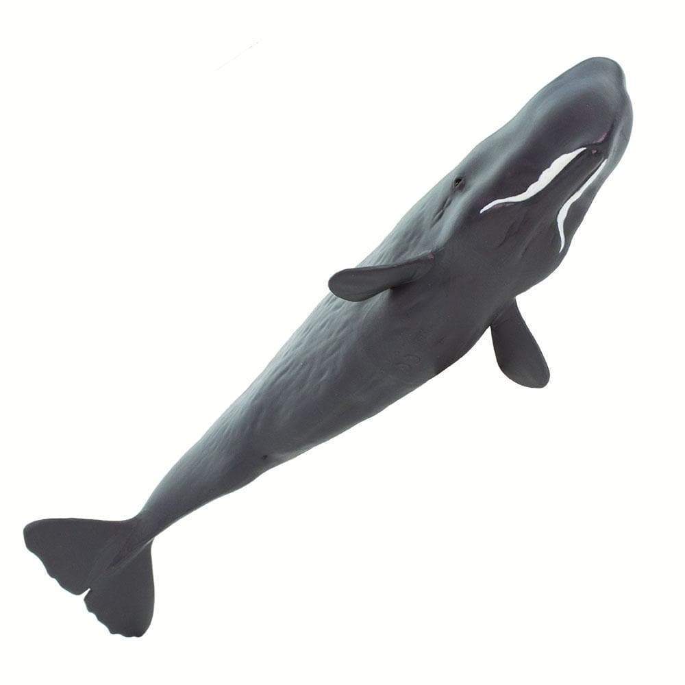 Big whale, sperm whale, 2024 cuddly toy