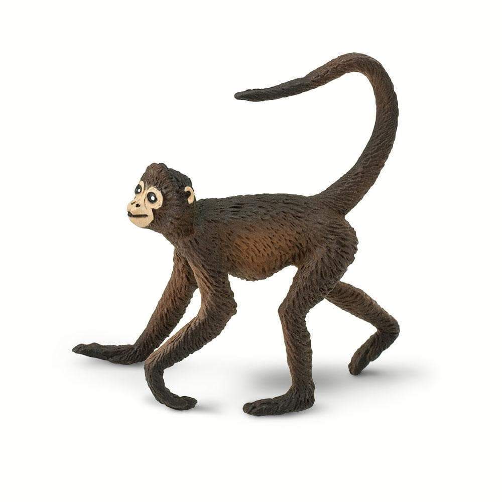 New deals monkey toy