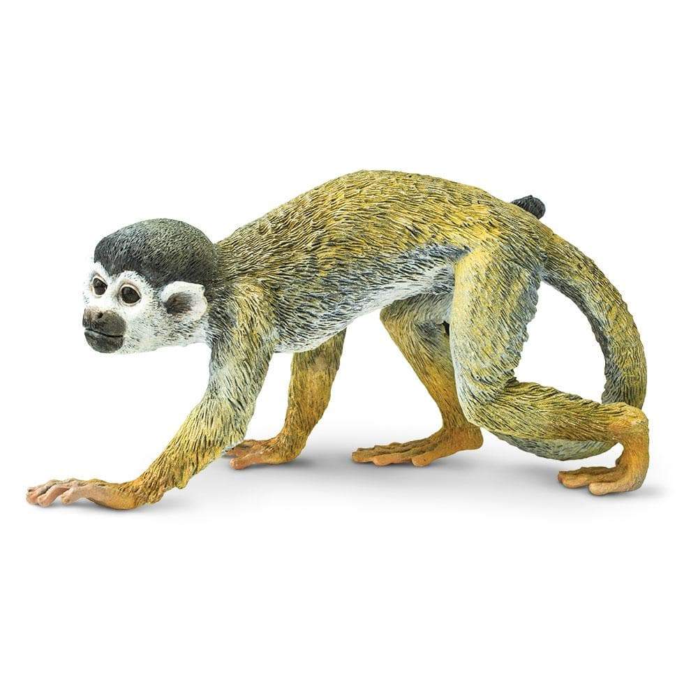 Squirrel Monkey - Safari Ltd®