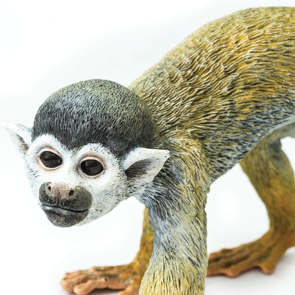 Squirrel Monkey - Safari Ltd®