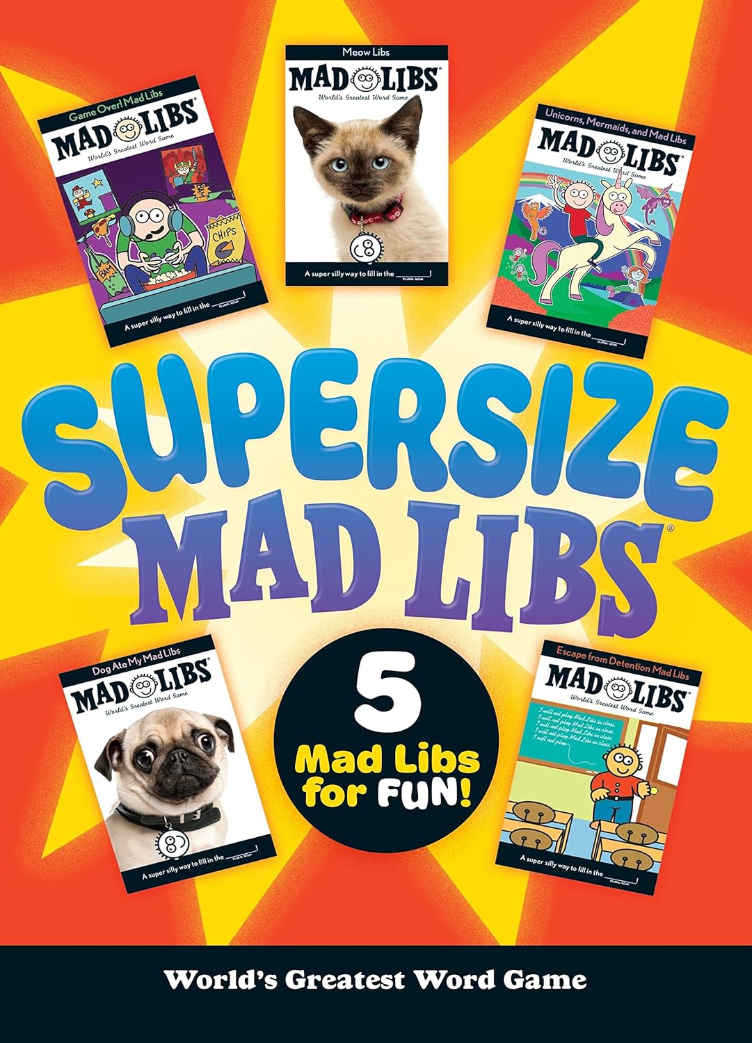 Mad Libs Sleepover Party Mad Libs