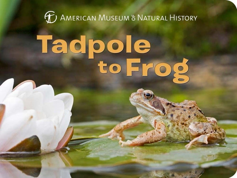 From Tadpole to Frog (How Things Grow): 9781930643857 - AbeBooks
