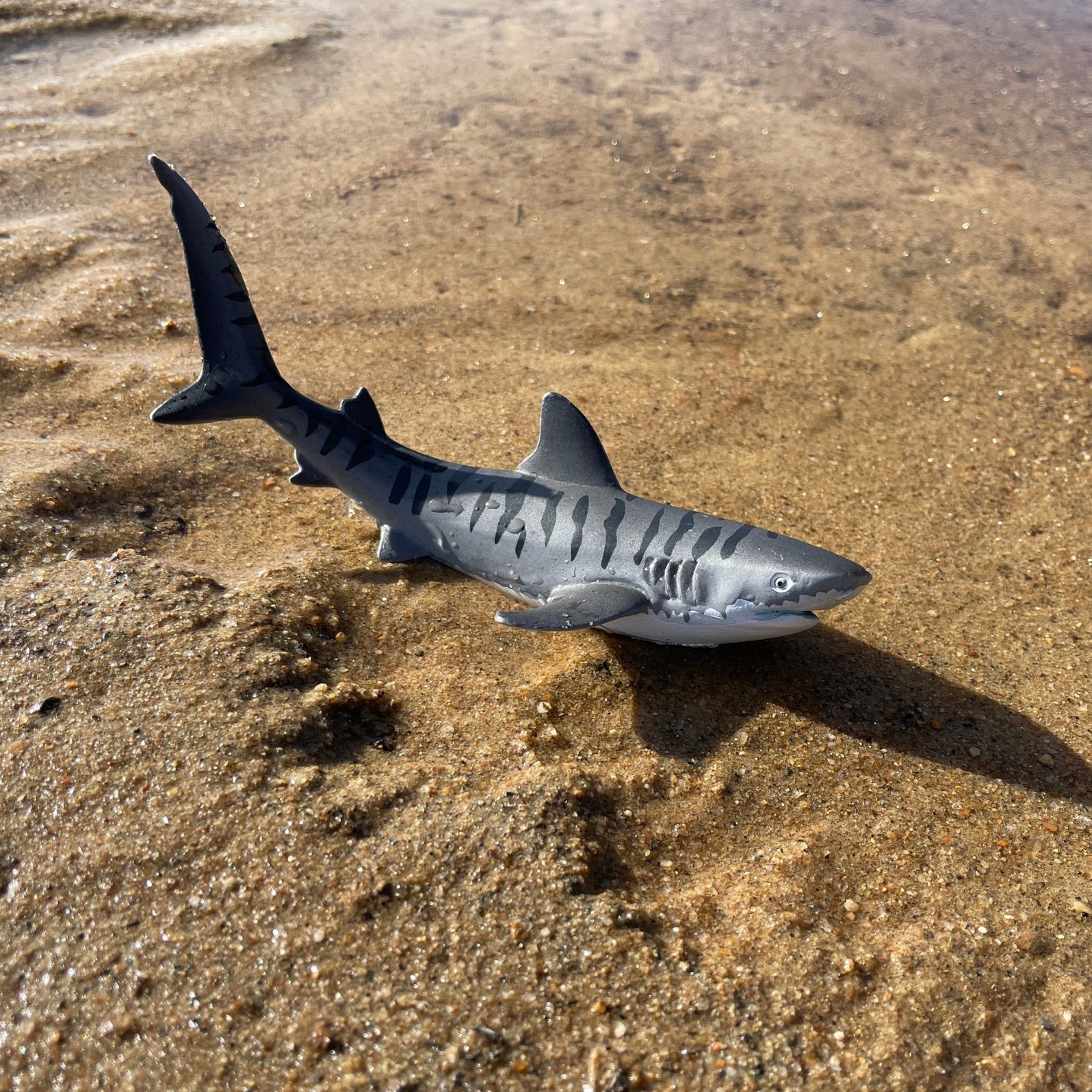 Tiger Shark Toy | Sea Life | Safari Ltd®