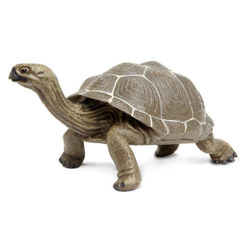 Tortoise Reptile Toy 