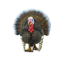 Turkey - Safari Ltd®