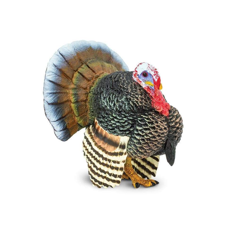 Turkey - Safari Ltd®