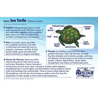 Turtle in Rescue Stretcher - Safari Ltd®