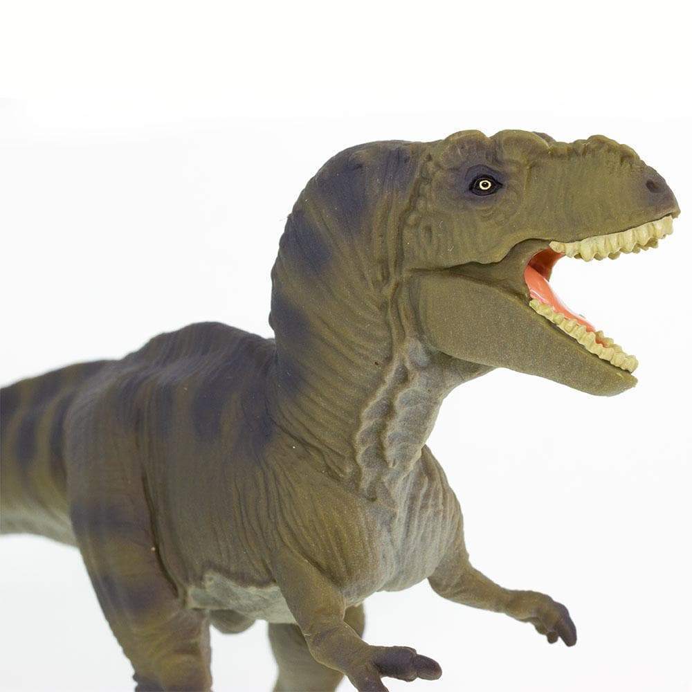 Tyrannosaurus Rex Toy | Dinosaur Toys | Safari Ltd.