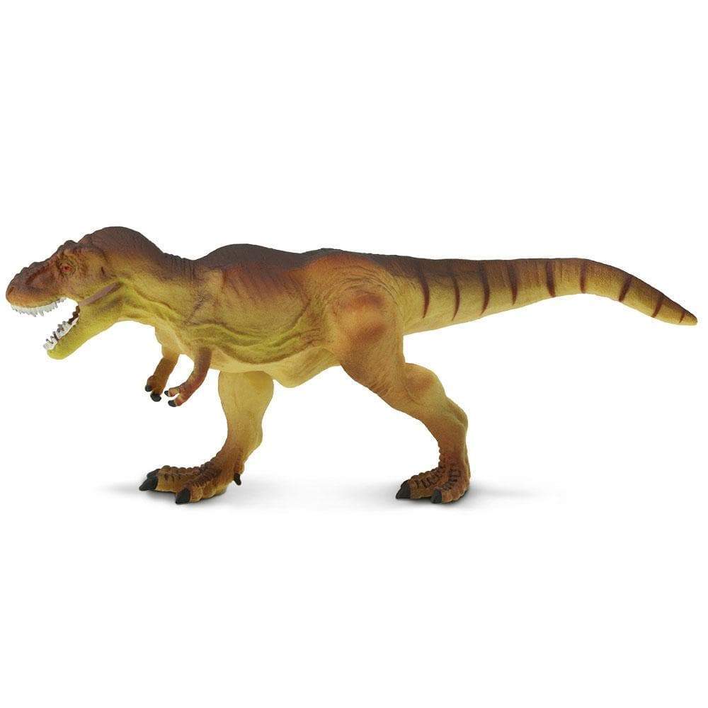 Tyrannosaurus Rex Toy | Dinosaur Toys | Safari Ltd.