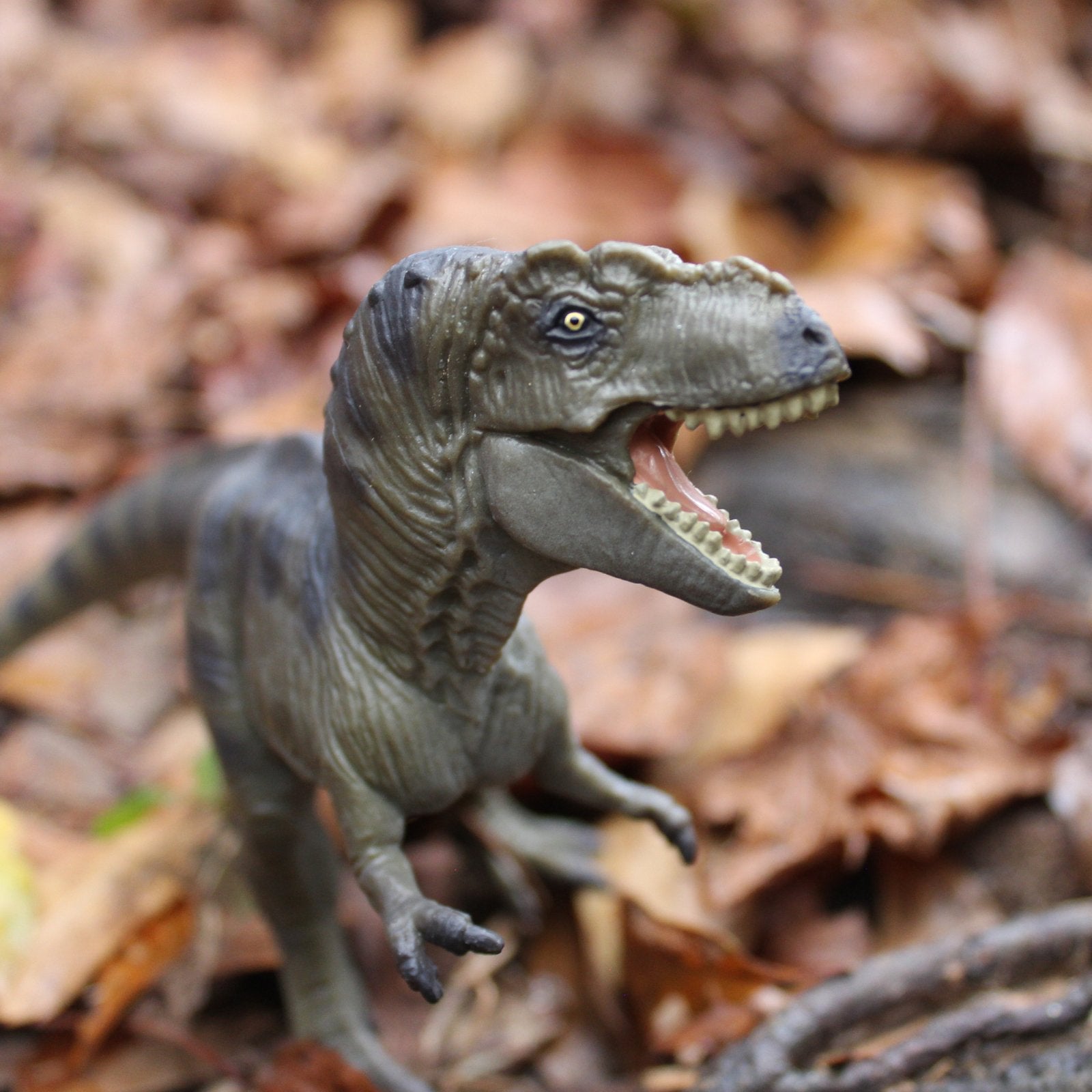 Tyrannosaurus Rex Toy - Safari Ltd®