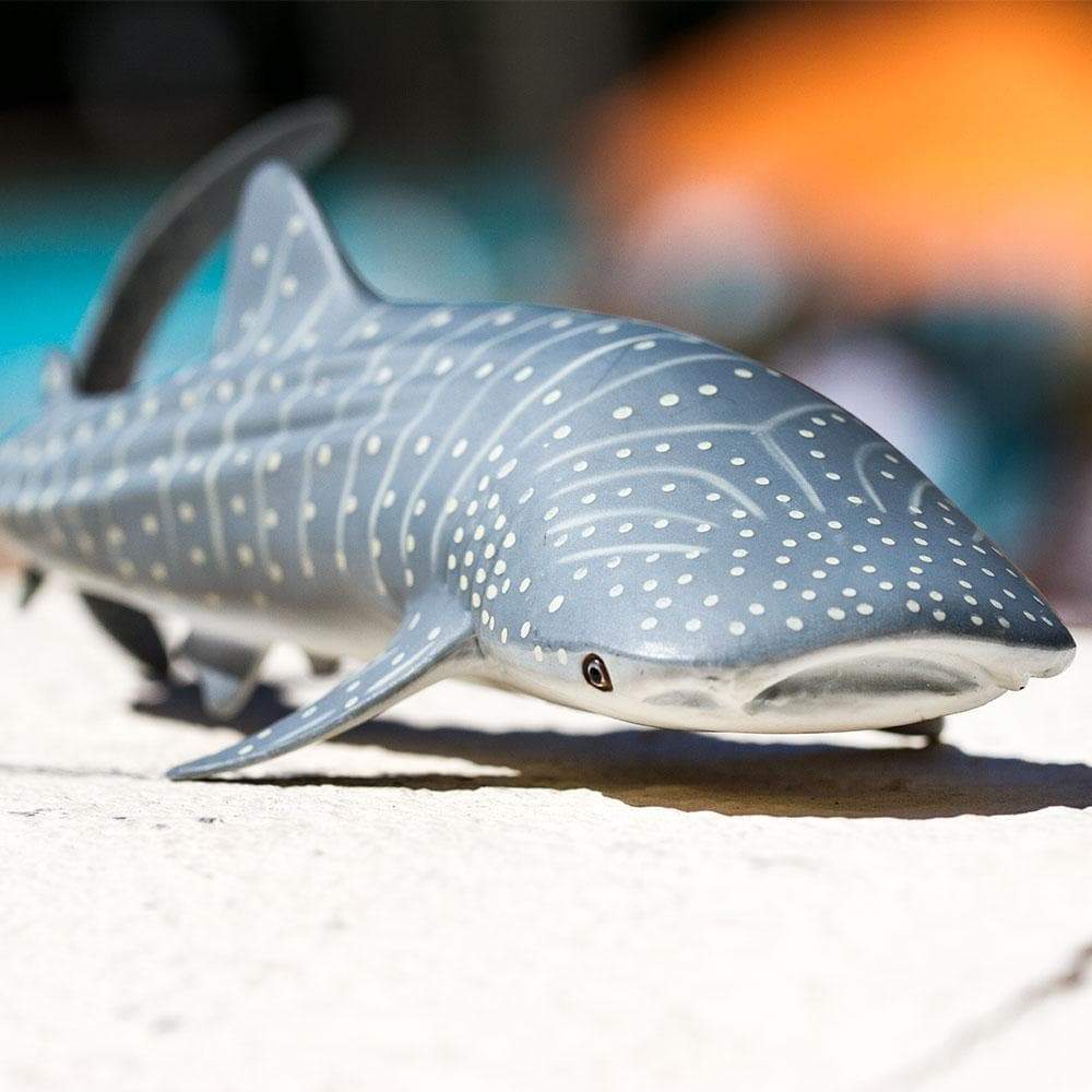 Whale Shark Toy - Sea Life Toys by Safari Ltd.