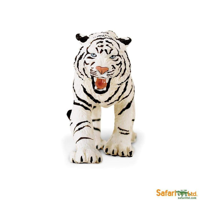 /cdn/shop/products/white-bengal-t