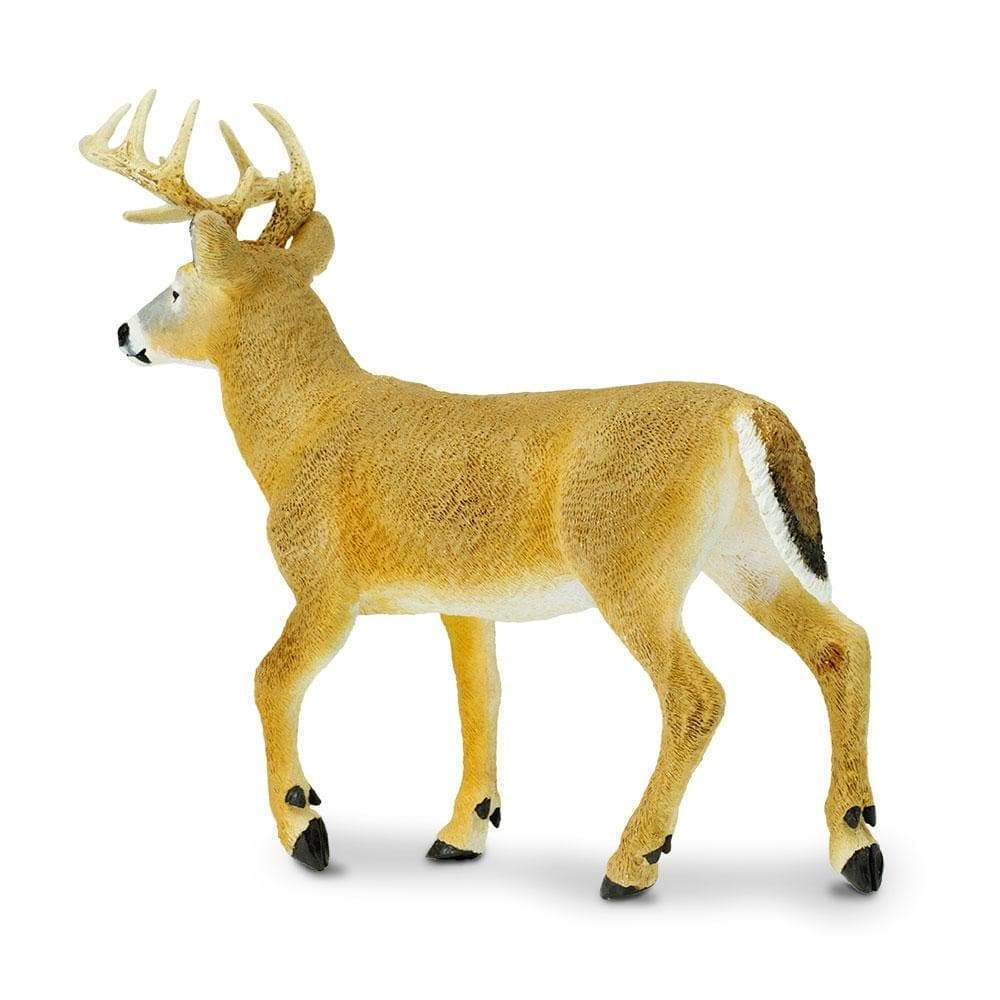 Whitetail Buck Toy | Wildlife Animal Toys | Safari Ltd.